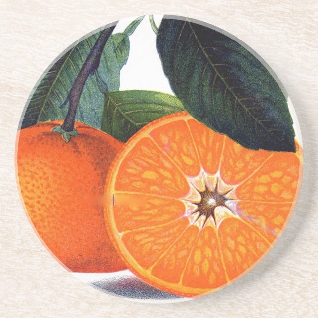 Mandarin Orange Coaster (Front)
