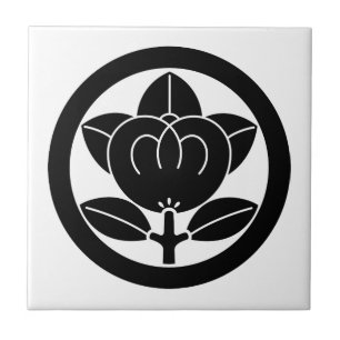 Mandarin orange in circle tile