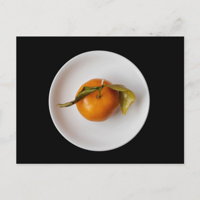 Mandarin Orange Portrait Still Life, Zen Unique Postcard (Front)