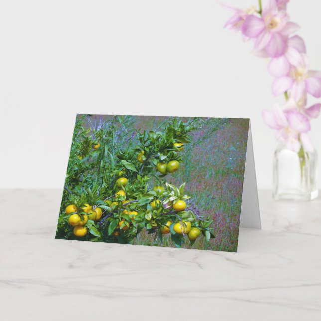 Mandarin Orange Tree Card (Orchid)