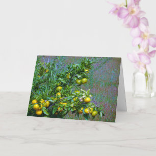Mandarin Orange Tree Card