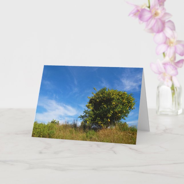 Mandarin Orange Tree Portrait Card (Orchid)