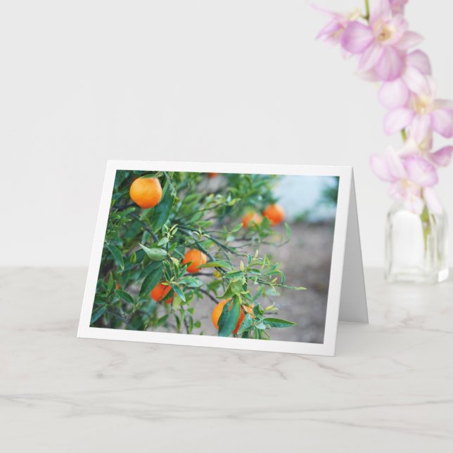 Mandarin Orange Tree Portrait Card (Orchid)