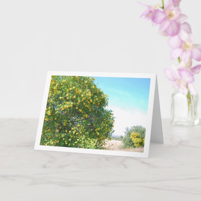 Mandarin Orange Tree Portrait Card (Orchid)