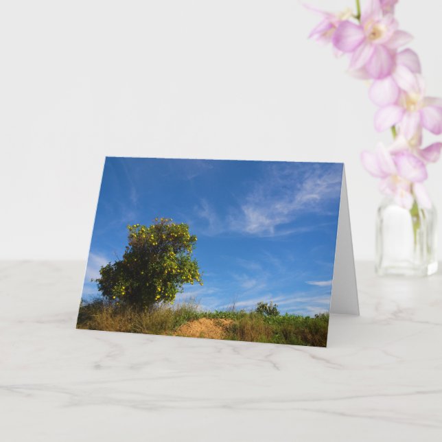 Mandarin Orange Tree Portrait Card (Orchid)