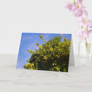 Mandarin Orange Tree Portrait Card