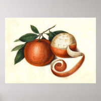 Mandarin Oranges Antique Chinese Painting