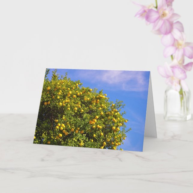 Mandarin Oranges Portrait Card (Orchid)