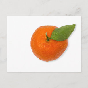 Mandarin with green leaf postcard