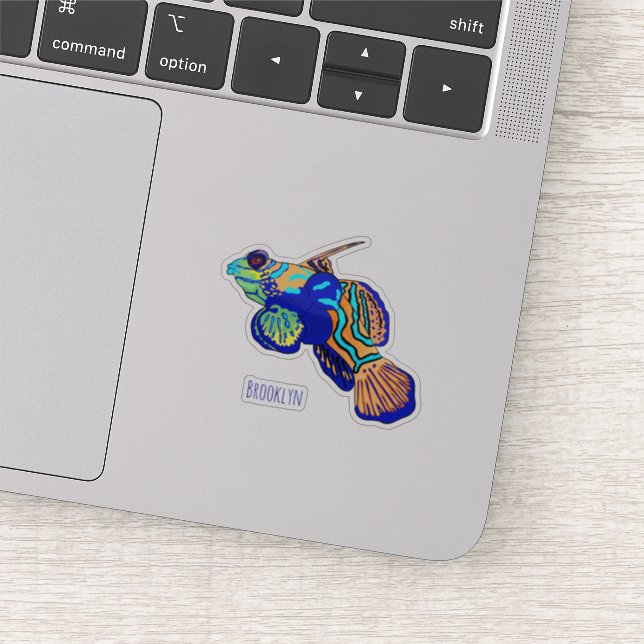 Mandarinfish cartoon illustration (Detail)