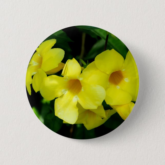 Mandevilla.JPG 6 Cm Round Badge (Front)