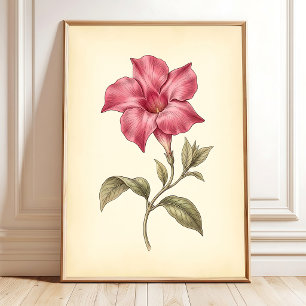 Mandevilla Vintage Botanical Canvas Art Poster