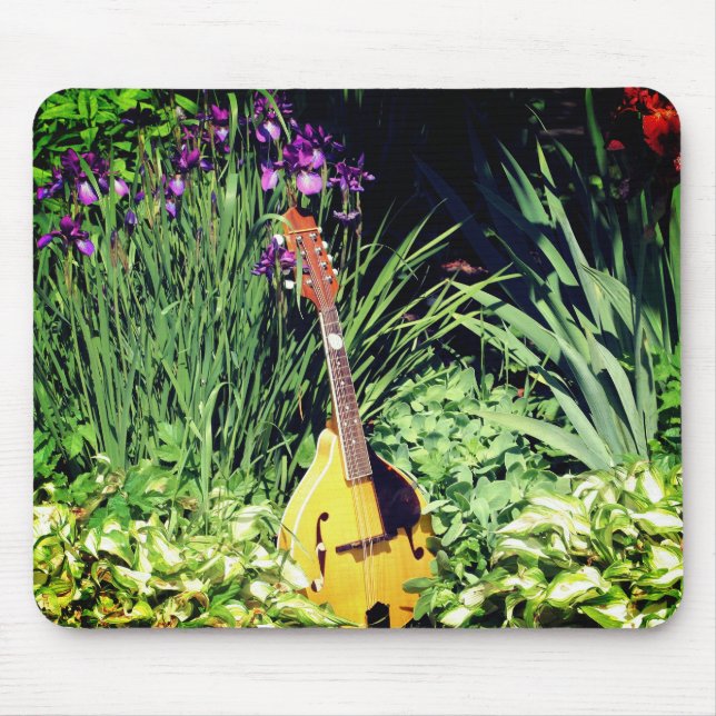 Mandolin And Iris Flower Garden Mouse Mat (Front)