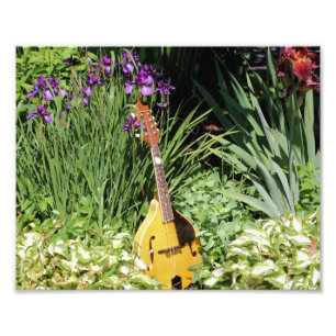 Mandolin And Iris Garden 10x8 Flower  Photo Print
