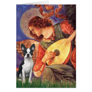 Mandolin Angel - Boston Terrier #1