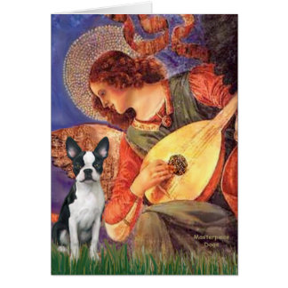 Mandolin Angel - Boston Terrier #1