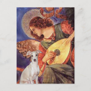 Mandolin Angel - -Italian Greyhound 7 Postcard