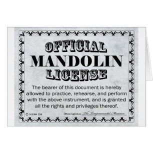Mandolin License