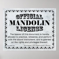 Mandolin License
