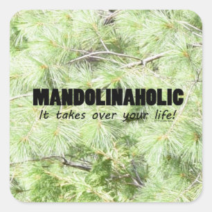 Mandolinaholic Life Square Sticker