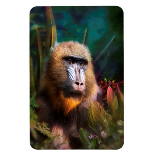 Mandril Baboon MASK IN THE JUNGLE Magnet