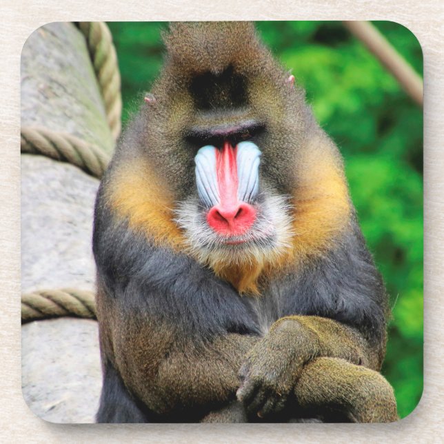 Mandrill 001 coaster (Front)