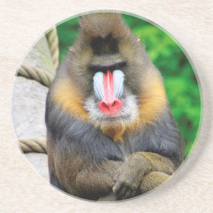 Mandrill 001 coaster