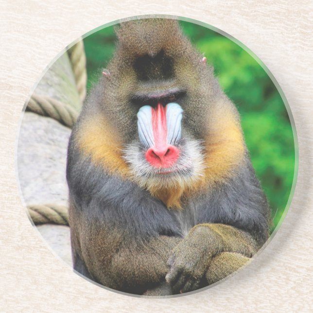 Mandrill 001 coaster (Front)