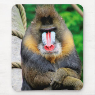 Mandrill 001 mouse mat