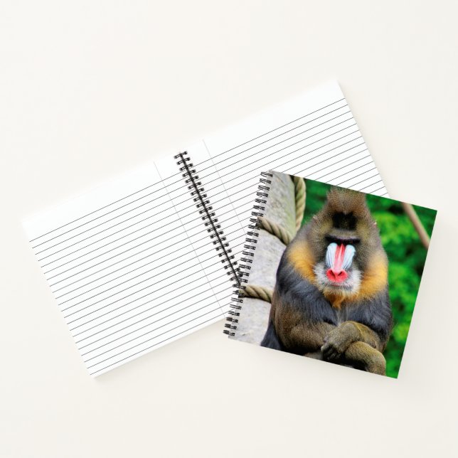 Mandrill 001 notebook (Inside)