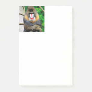 Mandrill 001 post-it notes