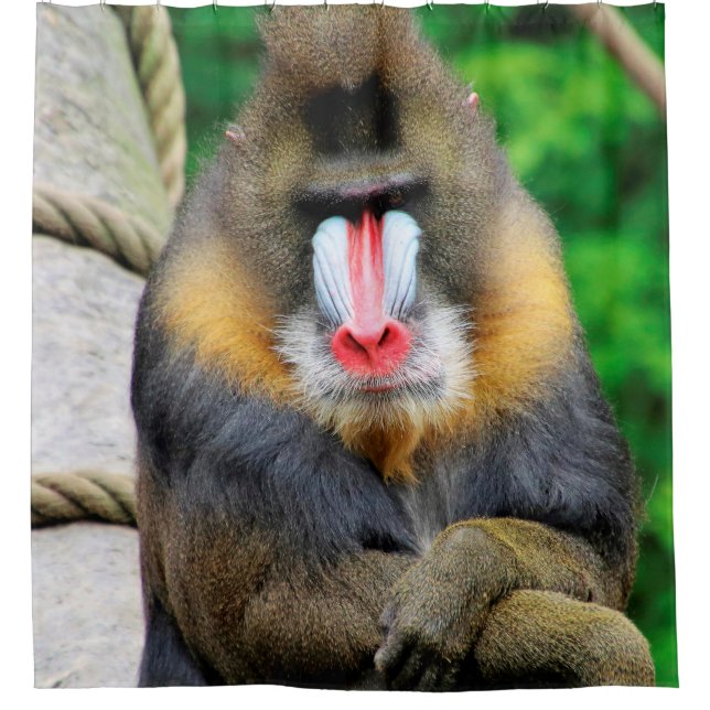 Mandrill 001 shower curtain (Front)