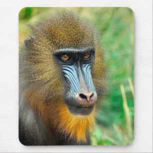 Mandrill 002 mouse mat