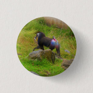 Mandrill #4 Pinback Button