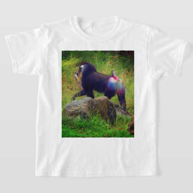Mandrill #4 T-shirt (Laydown)