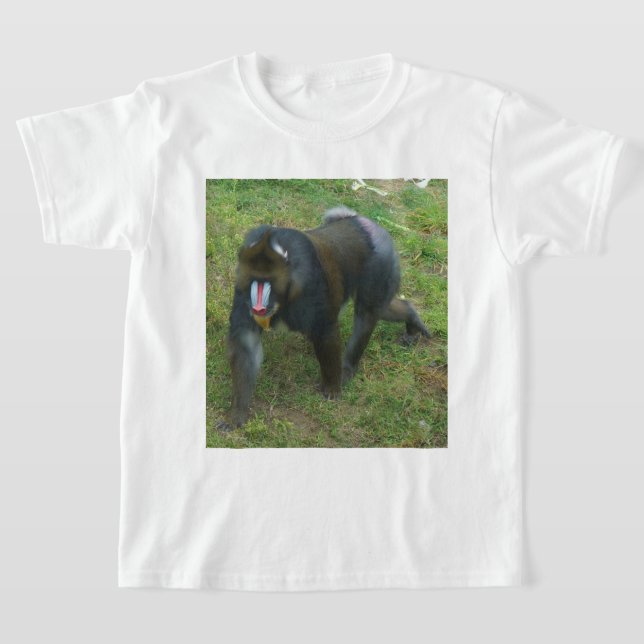 Mandrill #5 T-shirt (Laydown)