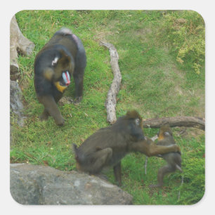 Mandrill #6 Stickers