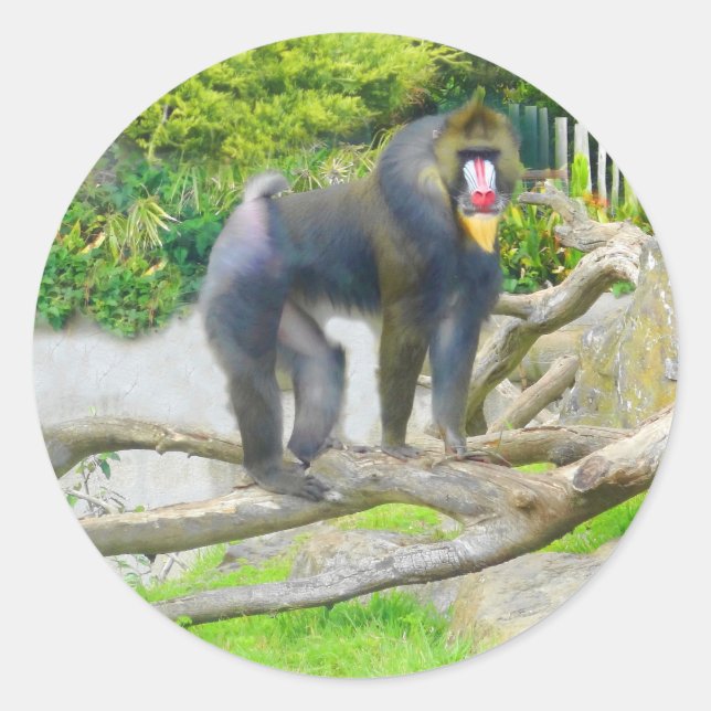 Mandrill #7 Stickers (Front)