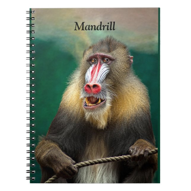 Mandrill, African Ape Notebook (Front)