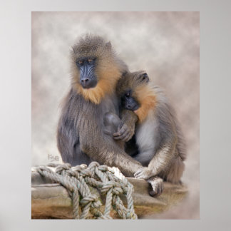 Mandrill and Young Print