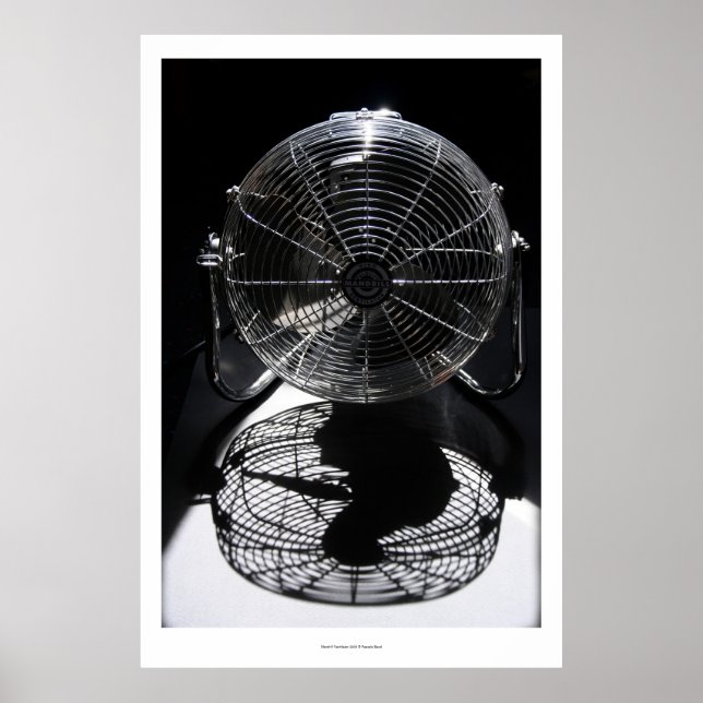 Mandrill Fan BW Still Life Photography L Poster (Front)