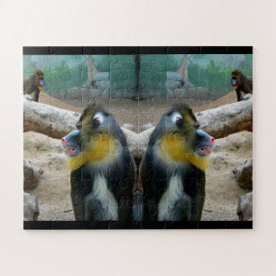 Mandrill monkeys jigsaw puzzle