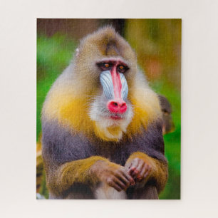 Mandrill Monkeys. Jigsaw Puzzle