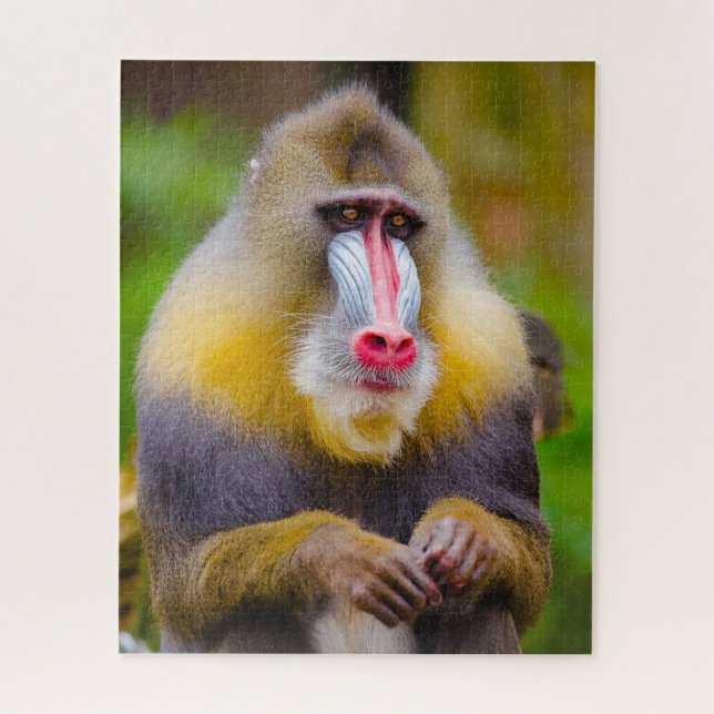 Mandrill Monkeys. Jigsaw Puzzle (Vertical)