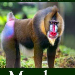 Mandrill Puzzle Portrait