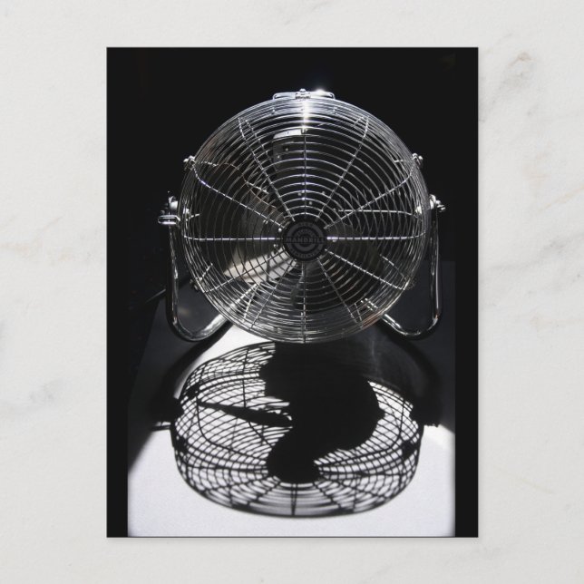 Mandrill Ventilator BW Still Life Photography Postcard (Front)