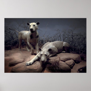 MANEATING LIONS of TSAVO Poster