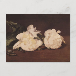 Manet   Branch of White Peonies and Secateurs Postcard