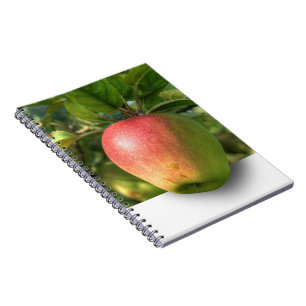 Mango 3 D Spiral Photo Notebook