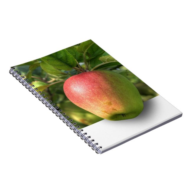 Mango 3 D Spiral Photo Notebook (Right Side)